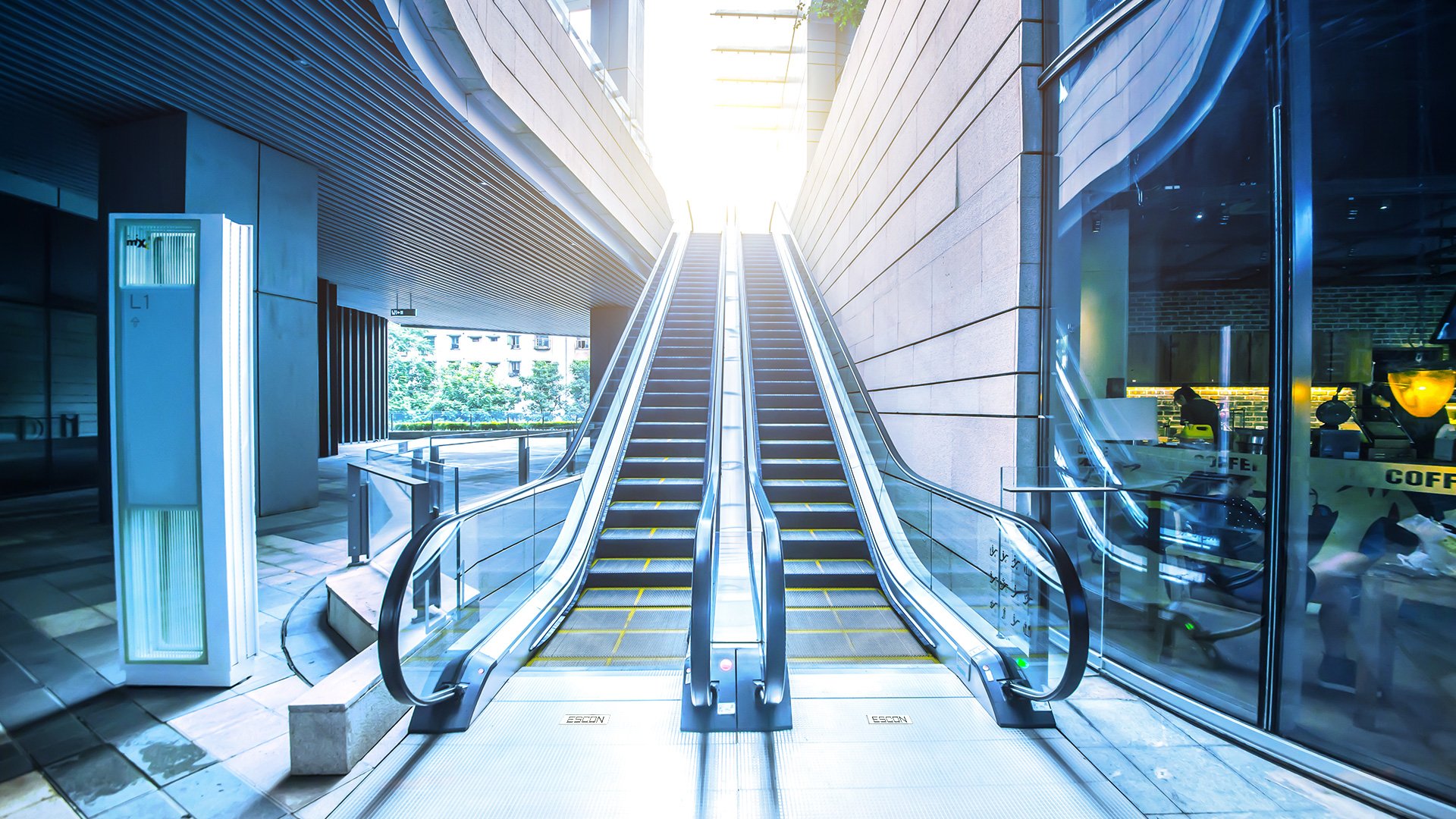 Modern escalator rising toward daylight in a commercial building